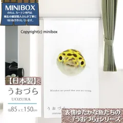 【MINIBOX のれん制作工房 正規販売店舗】【匿名配送ネコポス 送料無料】のれん うおづら「ミドリフグ」 幅85×丈150cm【日本製】金魚 UOZURA 熱帯魚 さかな フォト 写真 暖簾 間仕切り 家紋 タペストリー ポスター