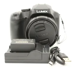 美品】パナソニック Panasonic DC-FZ85 《ショット数235回》 美品】パナソニック Panasonic DC-FZ85 《ショット数235回》
