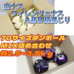 A-STYLE　自家産 白ナス フィレンツェナス A品B品MIX70サイズショップアカウントではゆうゆうメルカリ便で送れないため沖縄への発送は出来かねます、個人アカウントよりご購入頂けましたら発送可能ですので出品致しましたらそちらよりよろしくお願いいたします