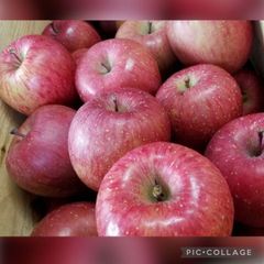 ☆★等級秀品です★☆青森産ふじ林檎☆５〜７玉入箱☆つがるふじリンゴ☆