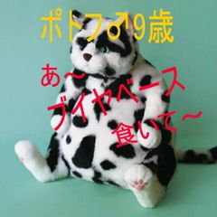 ビクター ニッパー犬 ニッパー 特大44cm～ 7匹 手渡し希望 千葉県