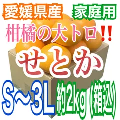 🩷美味しさ爆発💥‼️『家庭用』愛媛産三大柑橘の逸品！ せとか S～3Lサイズ  約2kg（箱込）