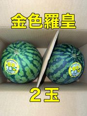 北海道沖縄離島追加送料無し　熊本県産　黄色すいか《金色羅皇》２玉