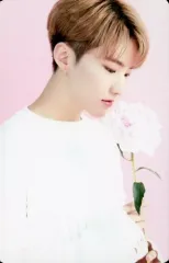 【中古】コレクションカード(男性) 22：SEVENTEEN/HOSHI(ホシ)/「SEVENTEEN CAFE in SEOUL」トレーディングカード