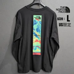 【日本未発売】THE NORTH FACE ノースフェイス 長袖 Tシャツ メンズ 黒/L (USサイズ)