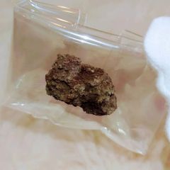 富士溶岩石の欠片（🏔Mt.Fuji）