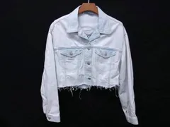 ■美品■ ZARA ザラ フルーツ 刺繍 デニムジャケット 上着 アウター 服 表記サイズM ライトブルー系×マルチカラー DD7549