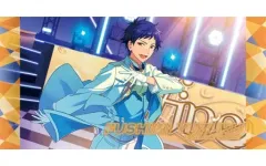 あんさんぶるスターズ！ ビジュアルバスタオルvol.5 8 伏見弓弦