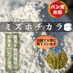 パン・製菓用米粉1kg（ミズホチカラ）