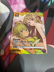 ソードアート・オンライン　アルゴ　SRパラレル⭐︎2 SR アルゴ(パラレル) 販売 | ソードアート・オンライン Vol.2