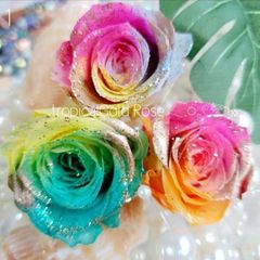 トロピカルアソートローズ❁⃘*.ﾟ3輪 花材 プリザーブドフラワー