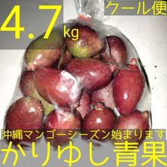 沖縄県産マンゴー