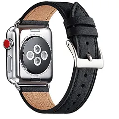 Apple Watch Series 5 Editionチタニウム アップル