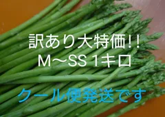 大特価!!細アスパラガス 1キロ　※クール便発送です！！のサムネイル