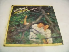 LP 水車 忘れない やめなきゃ 1978