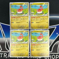 【P】シャリタツ　4枚セット