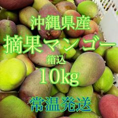 摘果マンゴー　グリーンマンゴー　青マンゴー　箱込10kg