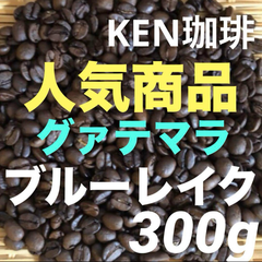 自家焙煎コーヒー豆　人気商品　ブルーレイク　グァテマラ産　300g  注文後焙煎　KEN珈琲