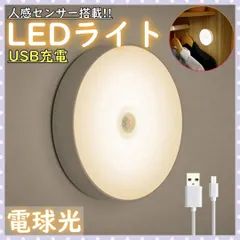 ▼センサーライト 室内 人感 LED 廊下 天井 USB 明暗 暖色のサムネイル