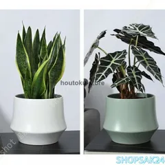植木鉢 フラワーポット 底穴あり 12cm 16cm 22cm 部屋飾り 陶器製 北欧バルコニー 観葉植物 おしゃれ 円筒 室内 プランター673