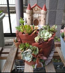 ツリー寄せ*そのまま飾れる多肉植物の寄せ植え*クリスマス寄せ　雪だるま 57fd483301b92fb22cdea956652c4d