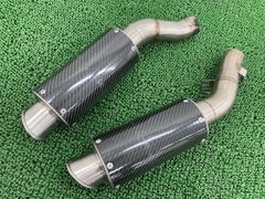 TERMIGNONI デュアルマフラー カーボンファイバー TERMIGNONI デュアルマフラー カーボンファイバー - メルカリ