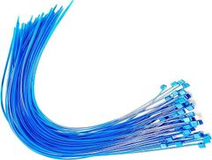 Item thumbnail for item bb2b765e-a821-4fe2-a8b6-59119b63e64d