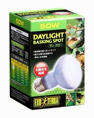 Item thumbnail for item 93124c5b-08ea-4323-b433-806563bb932b