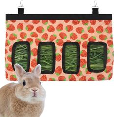 Item thumbnail for item 97a0793f-e0b4-4d64-87a6-a4eb2629a59c