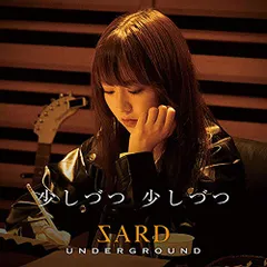 SARD UNDERGROUND／パーカー／希少／送料込み／匿名配送 2025年最新】sard underground グッズの人気アイテム - メルカリ