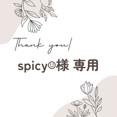 spicy☺︎︎︎︎様 専用
