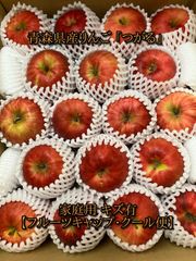 青森県産りんご 「つがる」家庭用 キズ有 約10kg(5kg×2箱)【フルーツキャップ】