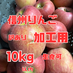 長野県産りんご 訳あり加工用 箱込み10キロ以内 送料無料 生食可もあり 大小バラ詰サイズMIX ジャム ジュース リンゴ酢 りんごシロップ フルーツサンド カットフルーツ