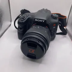 2025年最新】α65 レンズの人気アイテム - メルカリ