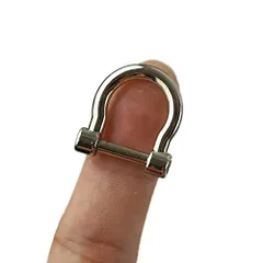 2個_シルバー 1.1cmキーホルダー Dリング D型カン リング ハンドメイド アクセサリー パーツ 金具 手芸 材料 小物 ネジ式 車のキーホルダー/携帯電話/バッグに適しています (2個, シルバー)