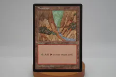 MTG APACランド 開封済み赤パック 5枚セット Amazon.co.jp: MTG APACランド 赤パック 基本地形セット