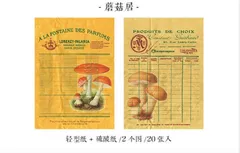 キノコのメモ帳(no.12-55)