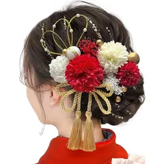 [JZOON] 成人式 髪飾り【12色展開】 ピンポンマム 紐 ドライフラワー 七五三 浴衣 袴 着物 飾り 振袖 和装 卒業式 結婚式 水引 かすみ草 造花 手作りかわいい 赤 F3712