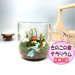 きのこの家【苔テラリウム・手作りキット一式】マグカップ