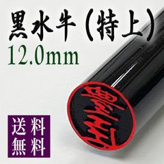 【黒水牛12.0mm高級ケース付】老舗店の本格印鑑　認印銀行印はんこ　即発送