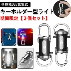 新品応援期間限定！！【２個セット】防水キーホルダー型ライト 多機能USB充電式 ミニライト 強力な照明 LED 高輝度 多様なライトモード ミニ懐中電灯 アウトドア 散歩 コンパクトキーチェーン カラビナ 軽量 キャンプ用ポケットサイズ