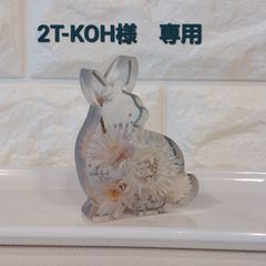 シルバーデイジーのうさぎさん