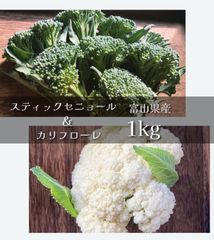 富山県産 スティックセニョール＆カリフローレ 計1kg