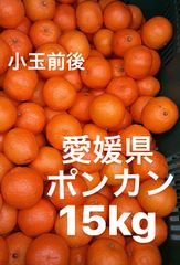 愛媛県産　ポンカン　柑橘　15kg