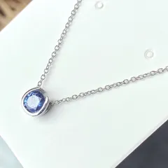 ホースシュー 馬蹄誕生石ネックレス ステンレスネックレス ステンレスチェーン