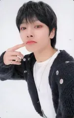 【中古】コレクションカード(男性) Stray Kids/I.N(アイエン)/「Stray Kids 2nd World Tour “MANIAC” ENCORE in JAPAN」京セラドーム大阪会場限定「THE SOUND」購入特典ランダムソロフォトカード