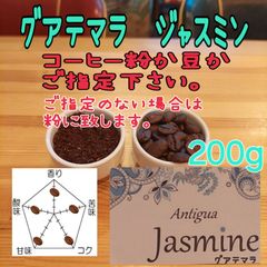 コーヒー粉orコーヒー豆200g　ジャスミン