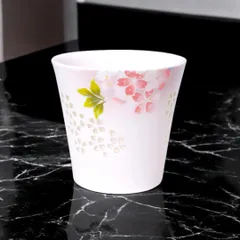 【新品 】🌟6個セット🌟二明商店 しずく彫り 宇野千代 華ざくら ロックカップ nm-s003-hz