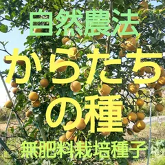 2025年最新】カラタチの種の人気アイテム - メルカリ