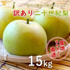 9月25日注文締切【訳あり】鳥取県産　二十世紀梨　15kg